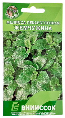 Мелисса лекарственная ЖЕМЧУЖИНА ВНИИССОК