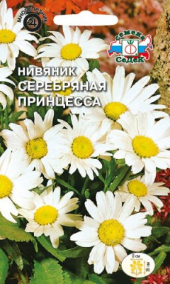 Нивяник низкорослый Серебрянная принцесса