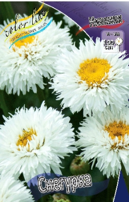 Нивяник Снегурка (3шт) 4331