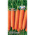 Морковь Нантская 4