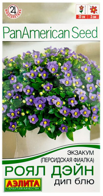 Экзакум персидская фиалка РОЯЛ ДЭЙН ДИП БЛЮ АЭЛИТА