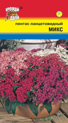 Пентас ланцетовидный микс 3шт