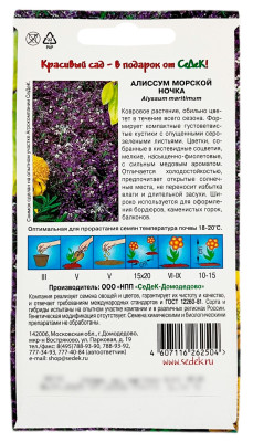 Алиссум морской НОЧКА СеДеК описание