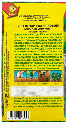 Мята мексиканская лофант МОРСКАЯ СИМФОНИЯ АЭЛИТА описание