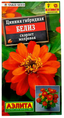 Цинния гибридная БЕЛИЗ скарлет махровая АЭЛИТА