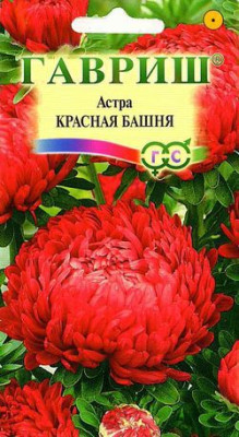 Астра Красная башня 0,3 г, пионовидная