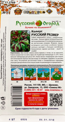 Колеус Русский размер 4шт