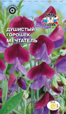 Душистый Горошек Мечтатель