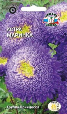 Астра Маринка принцесса (синяя с белым центром)