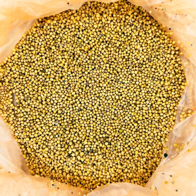 Горчица Белая 1кг 