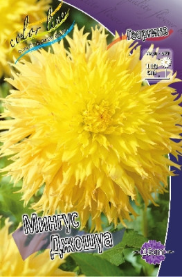 Георгин Мингус Джошуа 1шт