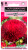 Астра Баллон рубиново- красный, однолетняя (густомахровая)* 0,05  г серия Эксклюзив Н22 Астра Баллон рубиново- красный, однолетняя (густомахровая)* 0,05  г серия Эксклюзив Н22