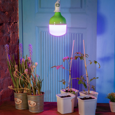 Лампа для растений Био М80-20W-Е27 UNIEL LED-M80-20W/SPSB/E27/FR PLS55GR