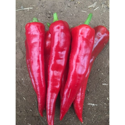 Перец острый Каппи пикантный