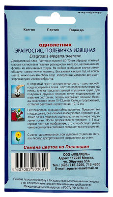 Эрагростис полевичка ИЗЯЩНАЯ АКВАРЕЛЬ описание