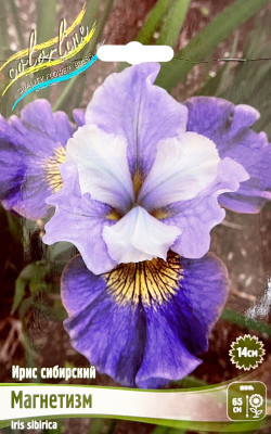 Ирис Магнетизм (1шт)