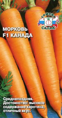 морковь Канада F1 (Евро, 100) морковь Канада F1 (Евро, 100)
