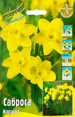 Нарцисс Саброса (10шт)
