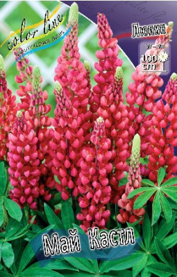 Люпин Май Кастл (1шт) 634