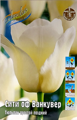 Тюльпан Сити Оф Ванкувер (1шт)