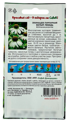 Эхинацея пурпурная белый лебедь СеДеК описание