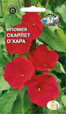 Ипомея Скарлет O'Хара алая