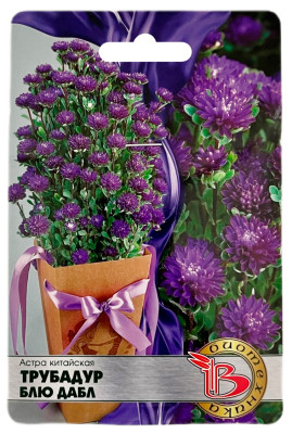 Астра китайская ТРУБАДУР БЛЮ ДАБЛ Биотехника
