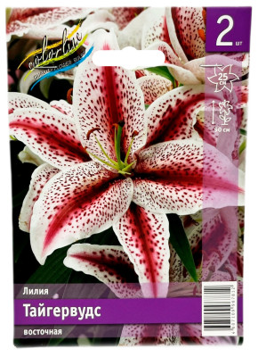 Лилия ТАЙГЕРВУДС восточная