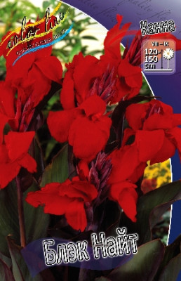 Канна Блэк Найт (2шт) цена за 2шт