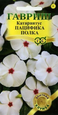 Катарантус Пацифика Полка* 7 шт. сер. Элитная клумба