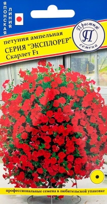 Петуния Эксплорер скарлет 5шт