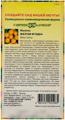 Малина ЖЕЛТАЯ ЯГОДКА ГАВРИШ описание