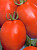 Томат Бенито F1 10шт