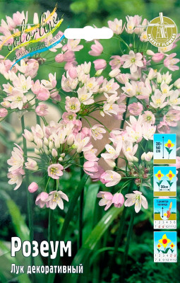 Лук декор. Розеум (10)