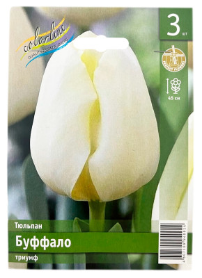 Тюльпан БУФФАЛО триумф