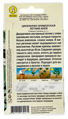 Цинерария приморская летний ИНЕЙ АЭЛИТА описание