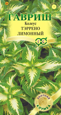 Колеус Тэррено лимонный 4шт Колеус Тэррено лимонный 4шт