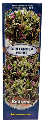 Вейгела Олл Саммер Монет