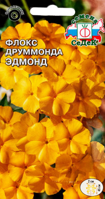 Флокс Эдмонд друммонда