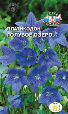 Платикодон Голубое Озеро (голубой)