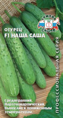 огурец Наша Саша F1