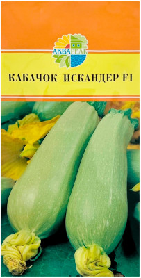 Кабачок ИСКАНДЕР F1 АКВАРЕЛЬ