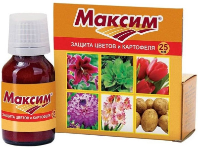 Максим 25мл протравитель луковиц и клубнелуковиц цветов от болезней