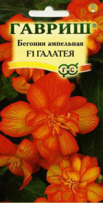 Бегония Галатея F1 амп. гранул. 4 шт. пробирка Н10
