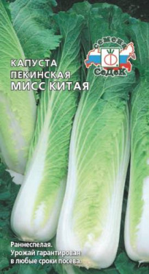 Капуста пекинская Мисс Китая