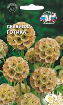Скабиоза Готика звездчатая смесь