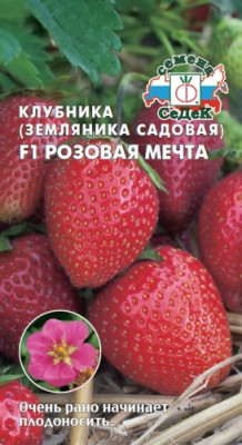 земляника Розовая мечта F1