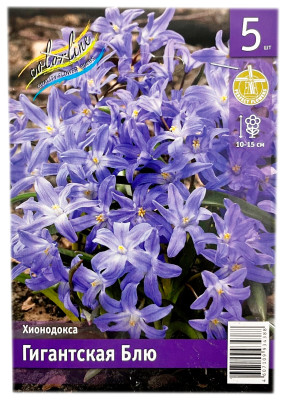 Хионодокса ГИГАНТСКАЯ БЛЮ