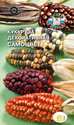 Кукуруза Самоцвет декор.