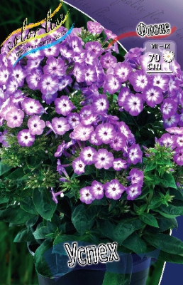 Флокс Успех (1шт) 694